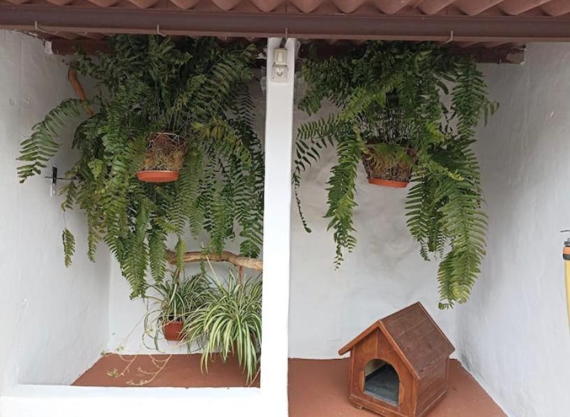 Casa Rural La Yedra San Mateo Arbejales Eksteriør bilde