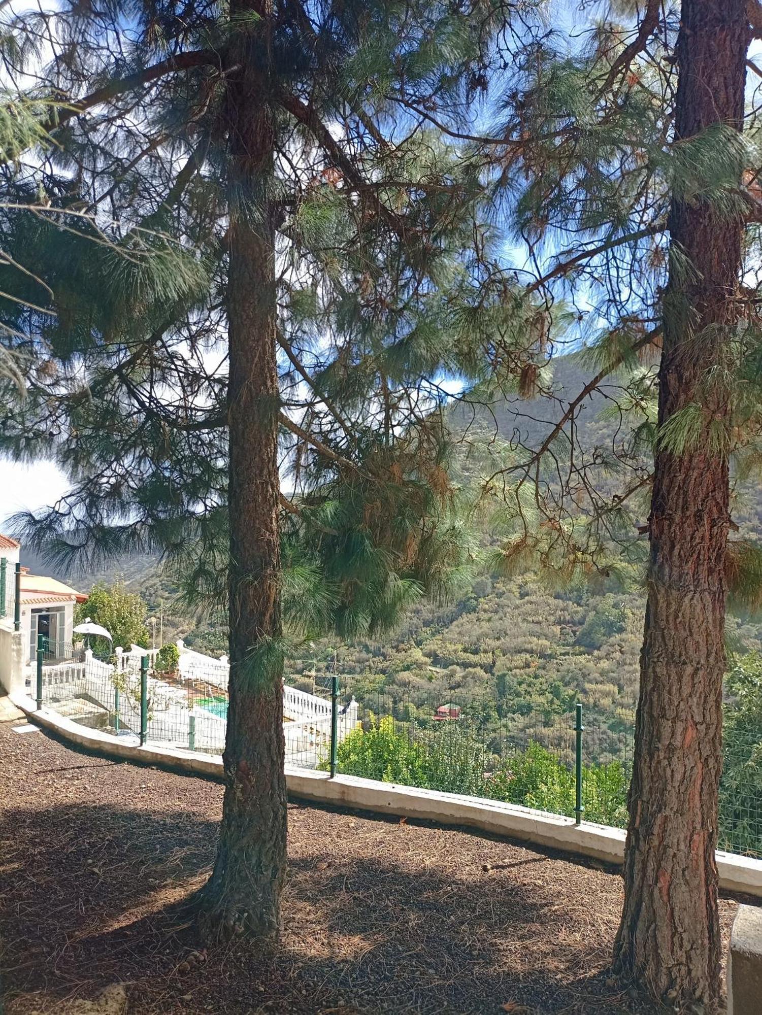 Casa Rural La Yedra San Mateo Arbejales Eksteriør bilde