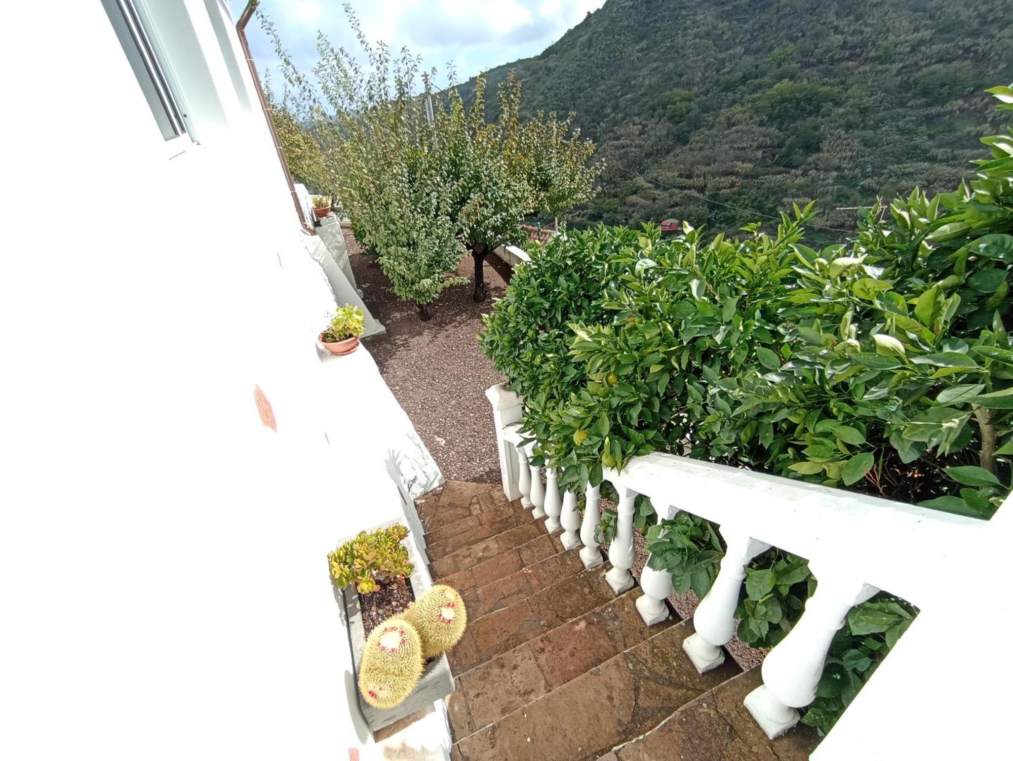 Casa Rural La Yedra San Mateo Arbejales Eksteriør bilde